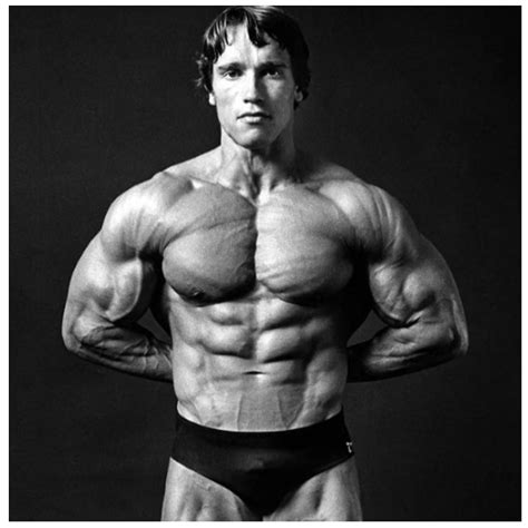 arnold schwarzenegger bodybuilding photos